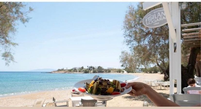 Fisilanis Beachfront 2* Logaras